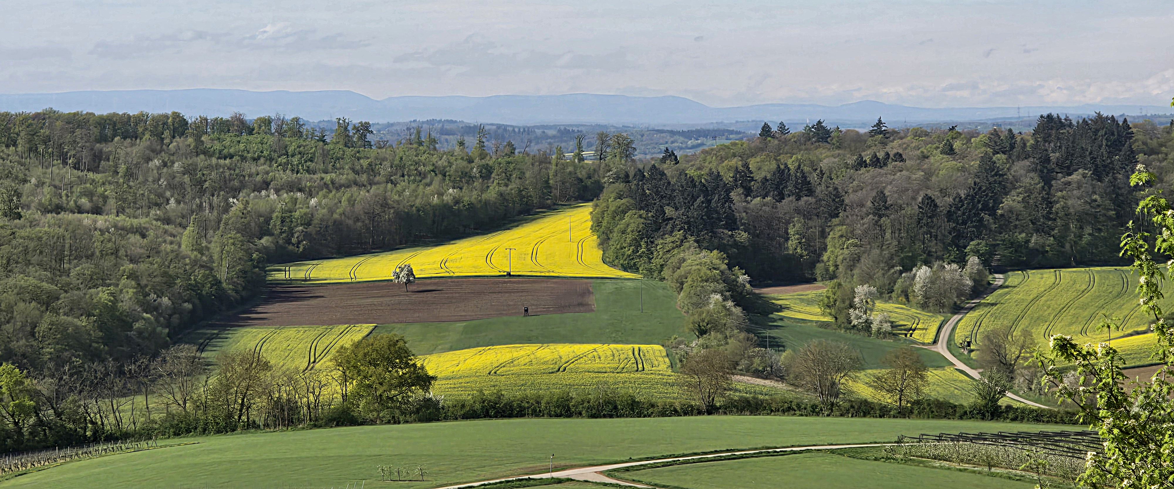 Dienstbezirk - Blick über den Kraichgau