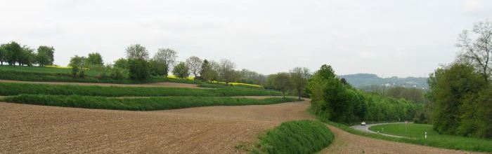 Landschaftsbild