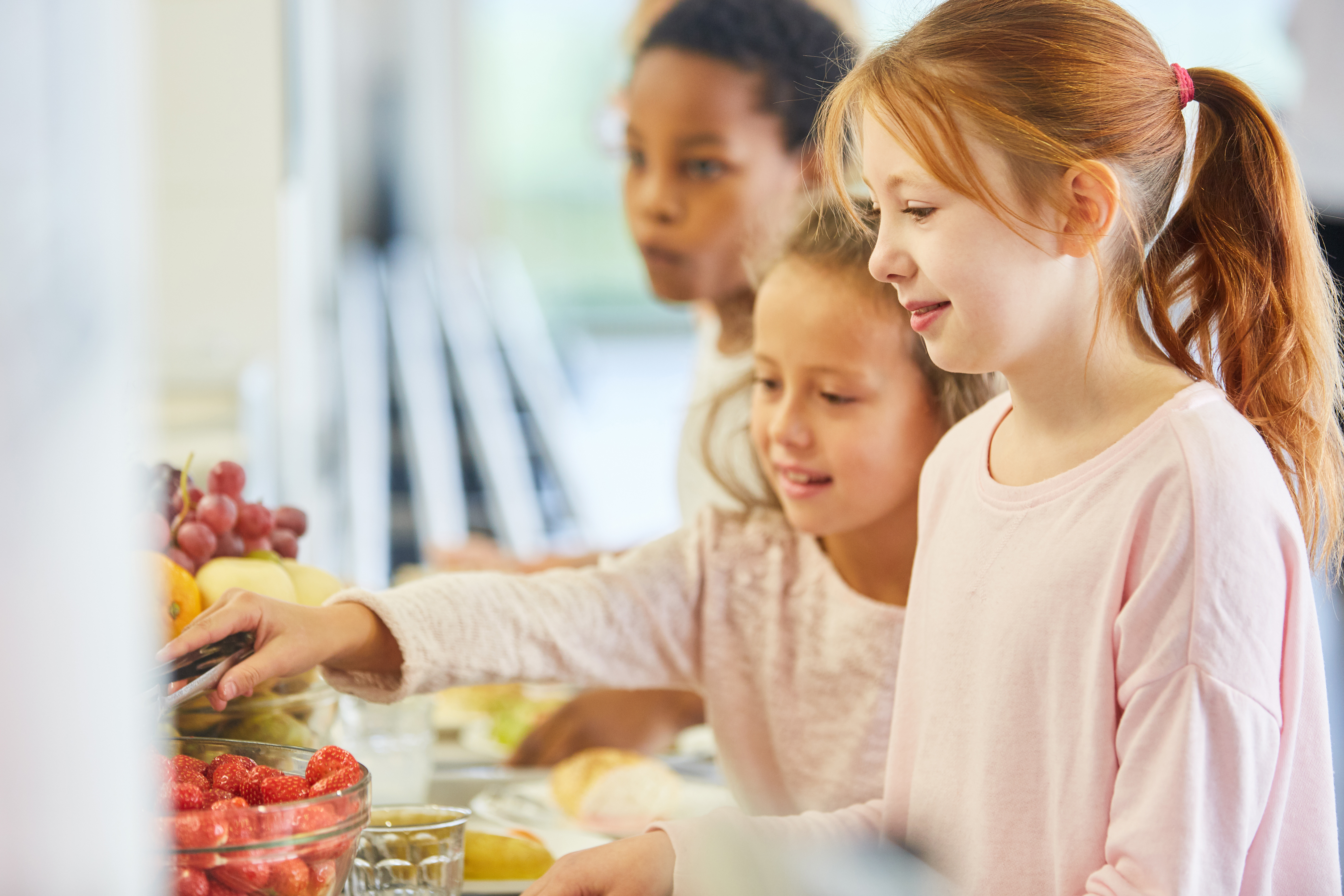 Angebote des Ernährungszentrums für Schulklassen