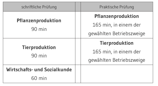 Gliederung der Abschlussprüfung