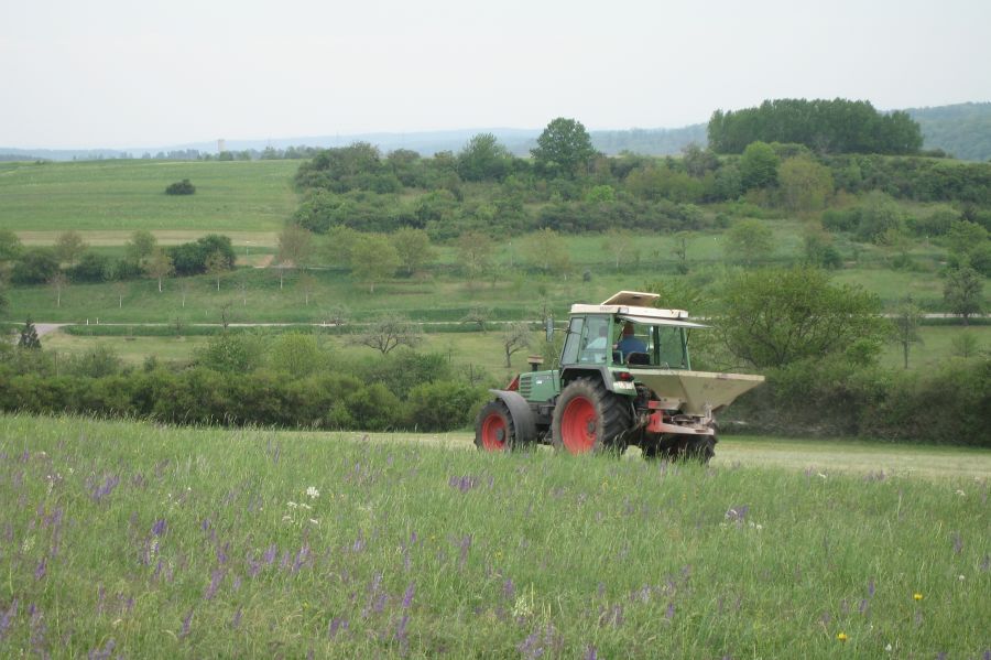 Düngerstreuer auf Wiese