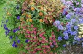 Blumen