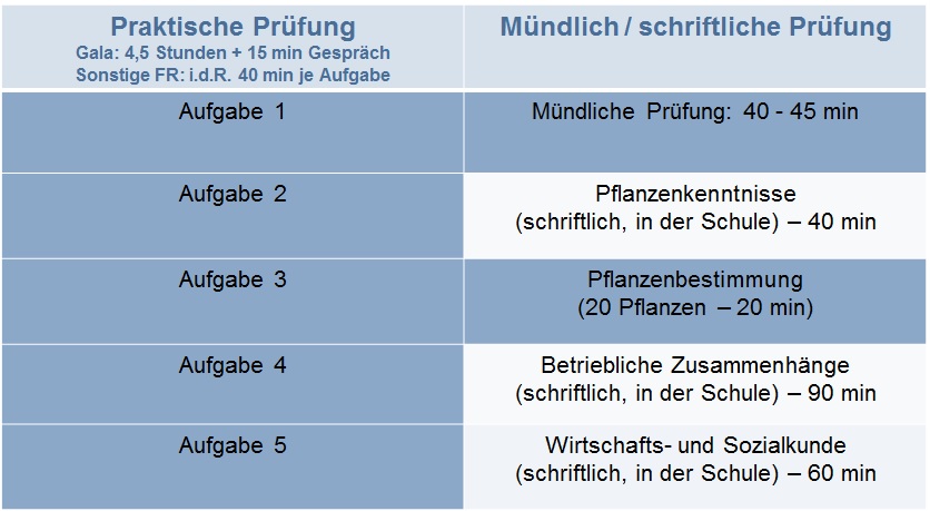 Tabelle mit den einzelnen Aufgaben der Abschlussprüfung