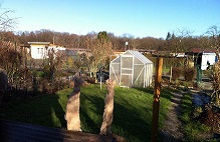 kleines Gewächshaus