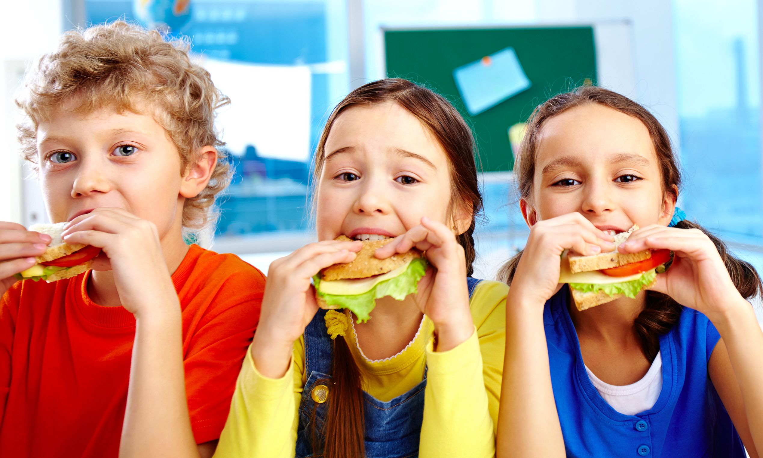 Link zum Angebot für Schulen