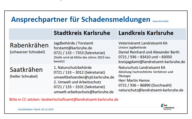 Tafel Ansprechpartner Schadenmeldungen durch Krähen. Bei Rabenkrähen ist für den Stadtkreis Karlsruhe die Jagdbehörde und für den Landkreis das Veterinäramt zuständig. Bei der Rabenkrähe für den Stadtkreis Karlsruhe die Naturschutzbehörde der Stadt und für den Landkreis der Naturschutz des Landratsamtes. Die Krähenarten unterscheiden sich durch die Schnabelfarbe, schwarzer Schnabel = Rabenkrähe, heller Schnabel = Saatkrähe.