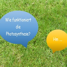 zwei Sprechblasen mit Text