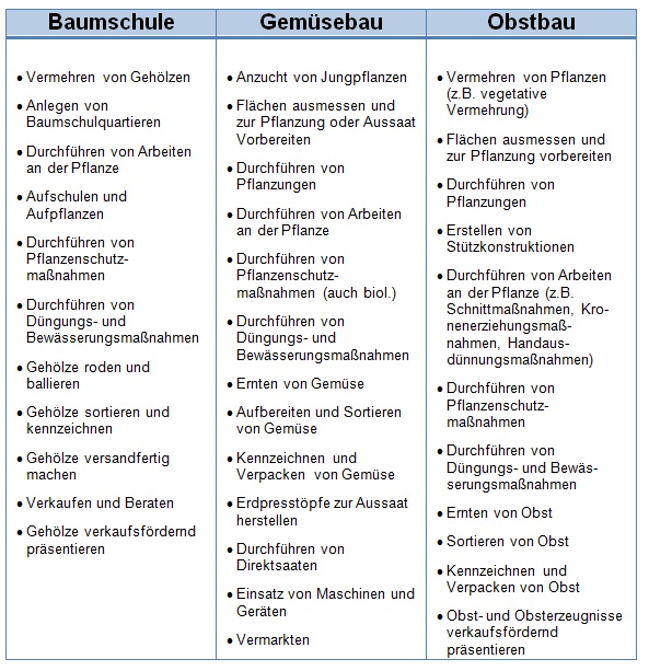Tabelle mit diversen Prüfungsaufgaben 1