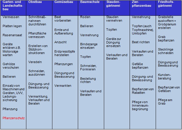 Tabelle mit Inhaltsbeispielen