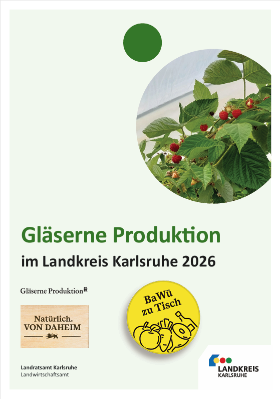 Link zum Flyer Gläserne Produktion im Landkreis Karlsruhe 2026 (pdf-Datei, nicht barrierefrei)