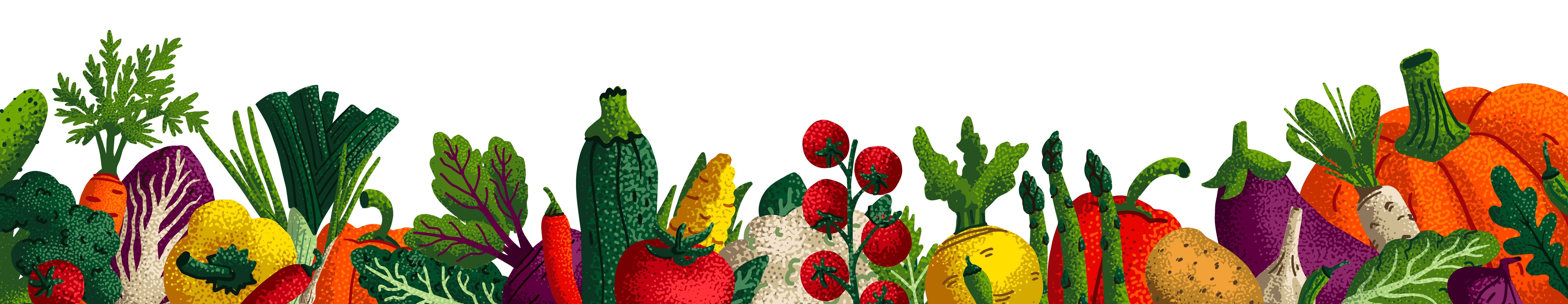 Logo des Ernährungszentrums des Landkreises Karlsruhe