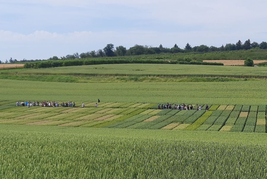 Versuchsbegehung