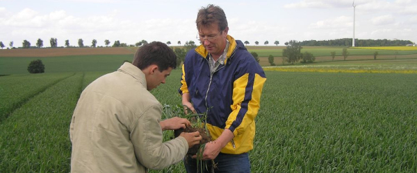Bodenansprache Getreidefeld
