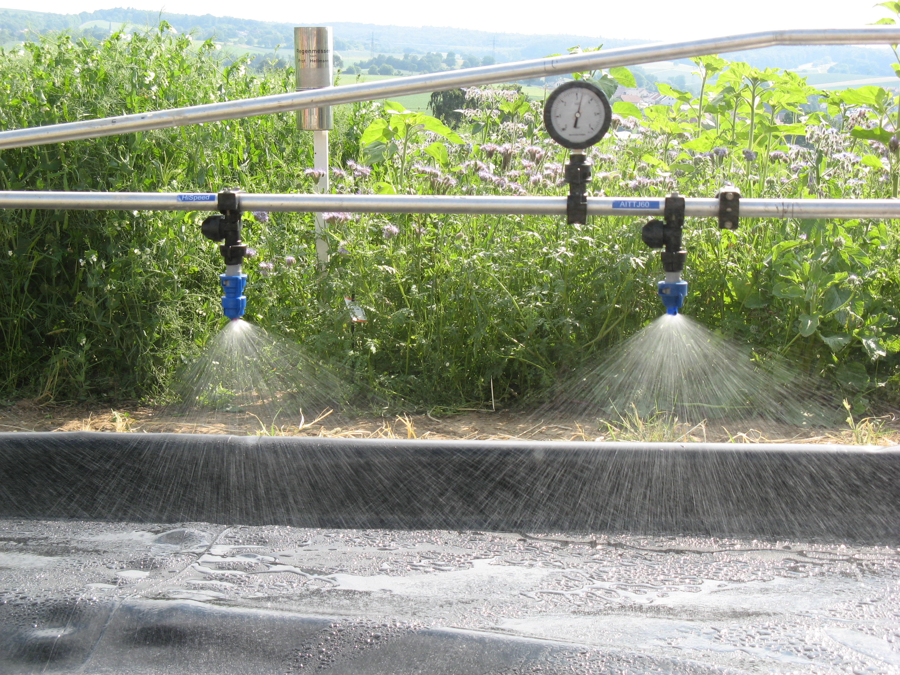 Link zur Seite Pflanzenschutz allgemein