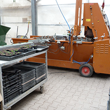 Link zur Seite Fachrichtungen der gärtnerischen Ausbildung