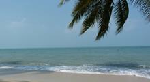 Palme, Sand, Meer